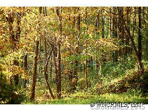 145 Laurel Haven Road Fairview, NC 28730 - Photo 3 of 10 Gallery Image 3