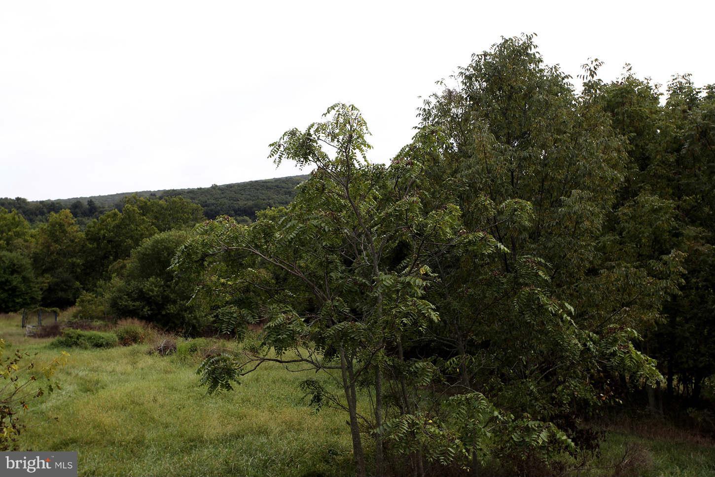 5609 Amos Reeder Road Boonsboro, MD 21713 - Photo 14 of 29 View of South Mountain and Appalachian Trail