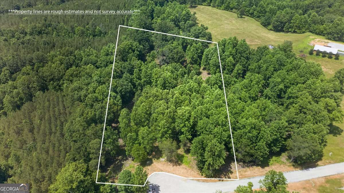 0 Conns Creek Road, Unit 2 Ball Ground, GA 30107 - Photo 26 of 57