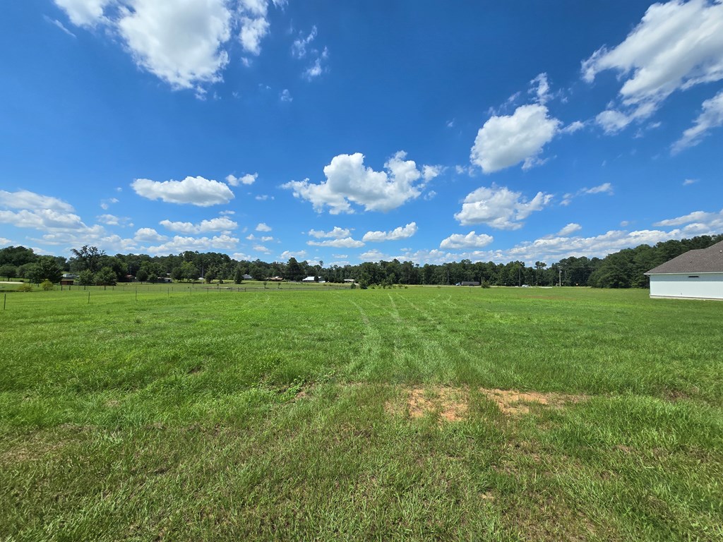 1.43-acres Sage Road Ashford, AL 36312 - Photo 2 of 9