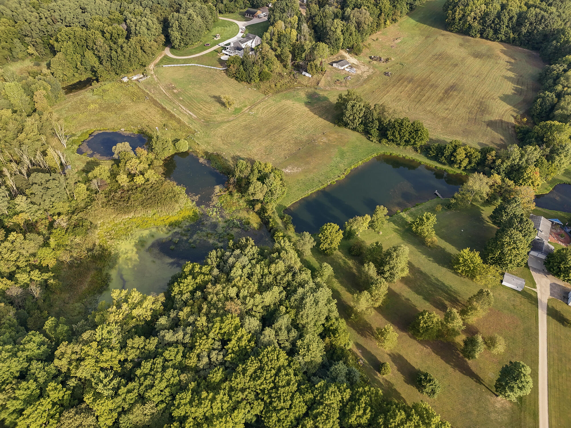 5325 Stimson Road Middleville, MI 49333 - Photo 40 of 50 DJI_20250910092332_0217_D