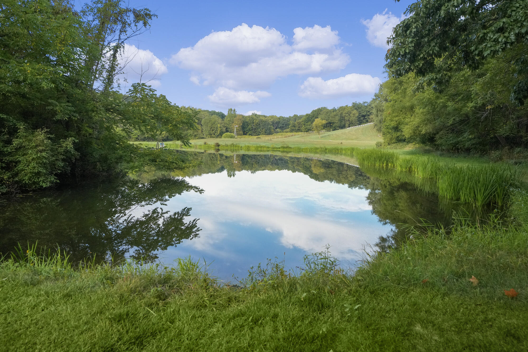5325 Stimson Road Middleville, MI 49333 - Photo 44 of 50 DSC02334