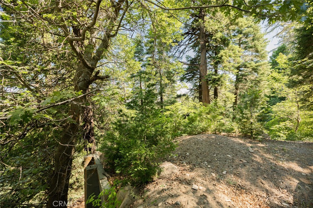 746 Blue Ridge Drive Skyforest, CA 92385 - Photo 15 of 18 Side profile of the parcel from the left.