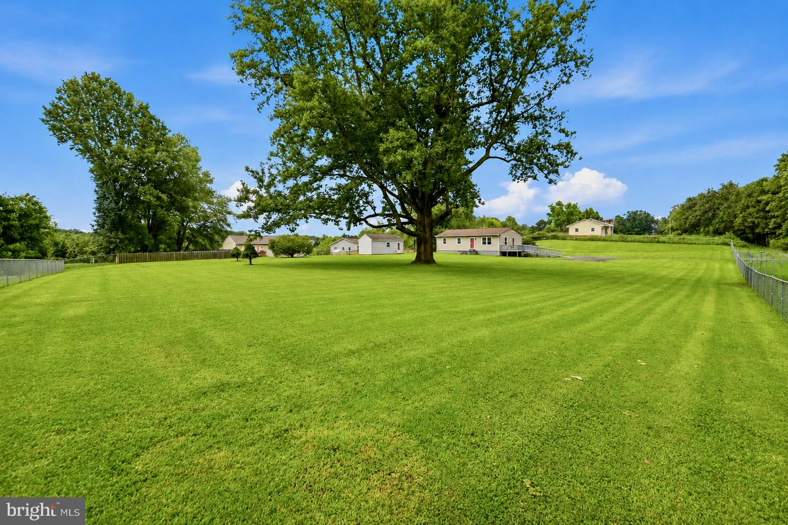 9787 Lees Mill Road Warrenton, VA 20186 - Photo 3 of 35 Landmark poplar tree