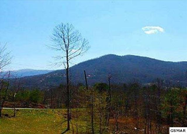3070 South Clear Fork Road Sevierville, TN 37862 - Photo 9 of 10 211784-9