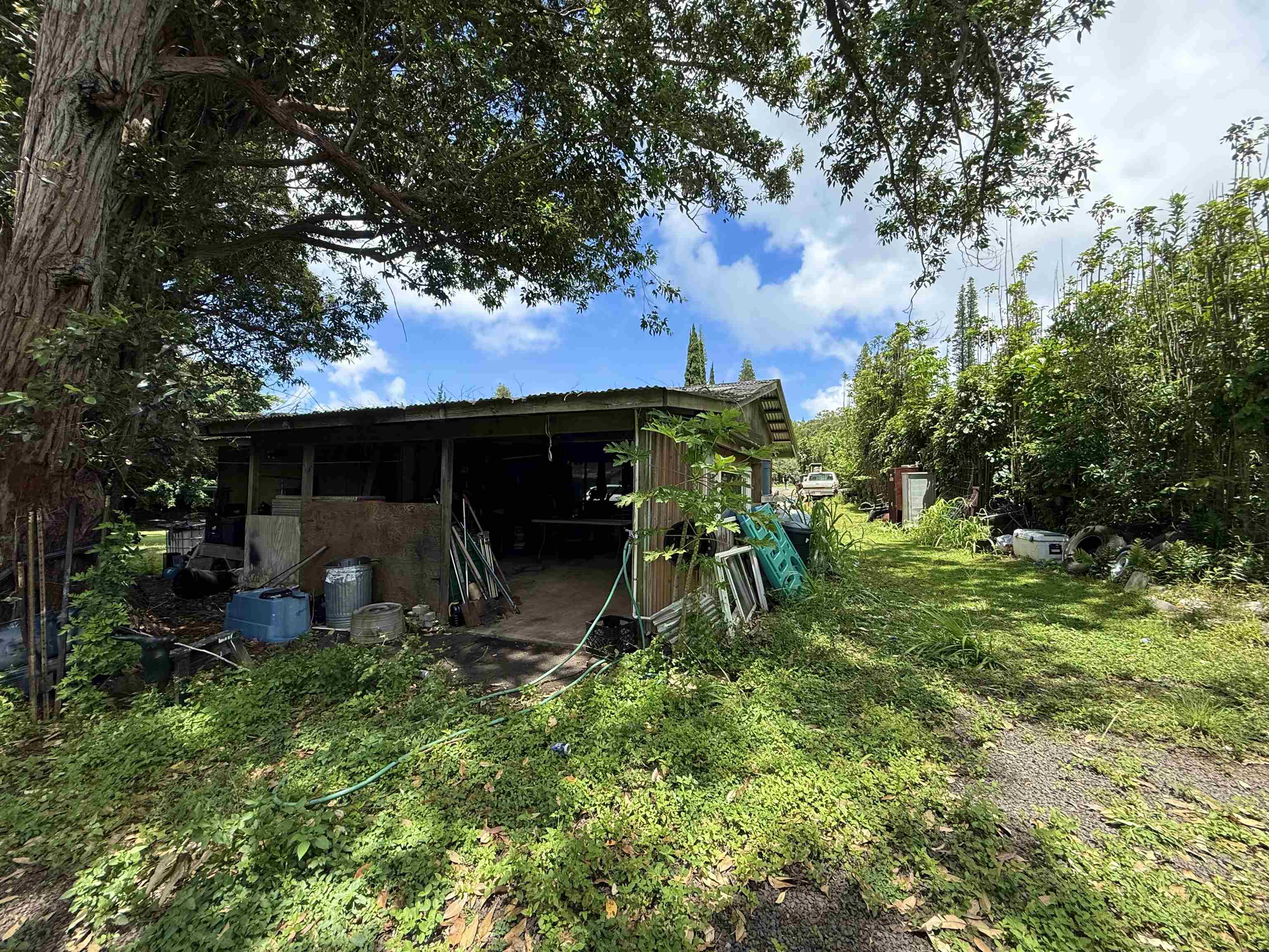 1630 Kauhikoa Road Haiku, HI 96708 - Photo 23 of 48 a view of a back yard