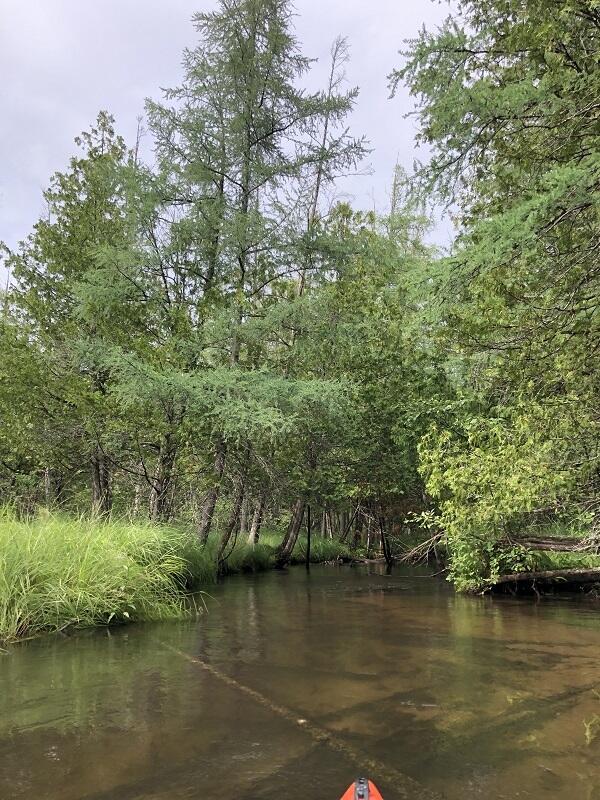 River Road, Unit 9 Atlanta, MI 49709 - Photo 4 of 7 thunder bay river 2