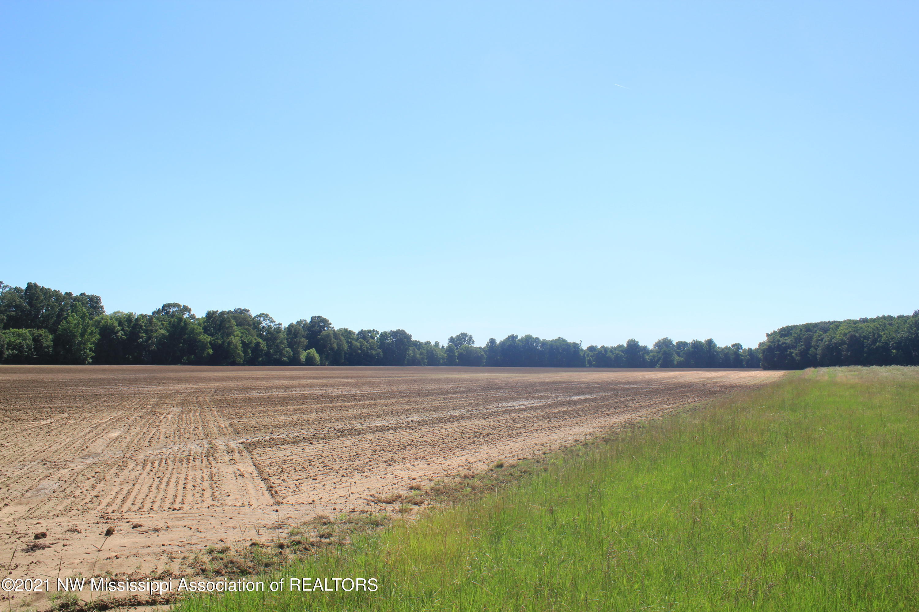 3 Boswell Road Holly Springs, MS 38635 - Photo 22 of 39 IMG_6808