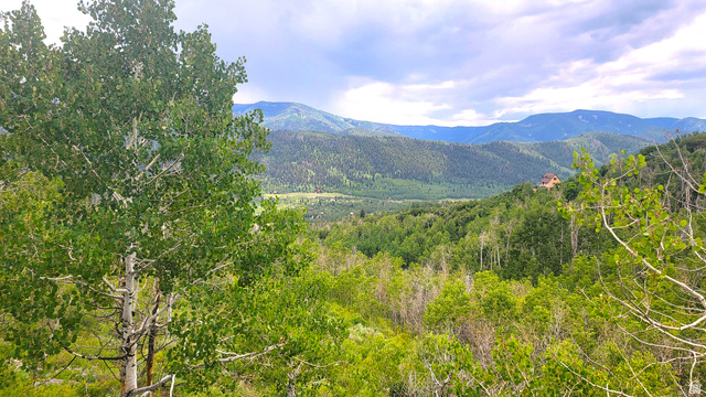 6210 Mountain View Road, Unit 133 Coalville, UT 84017 - Photo 74 of 87 Summer view off of the deck.