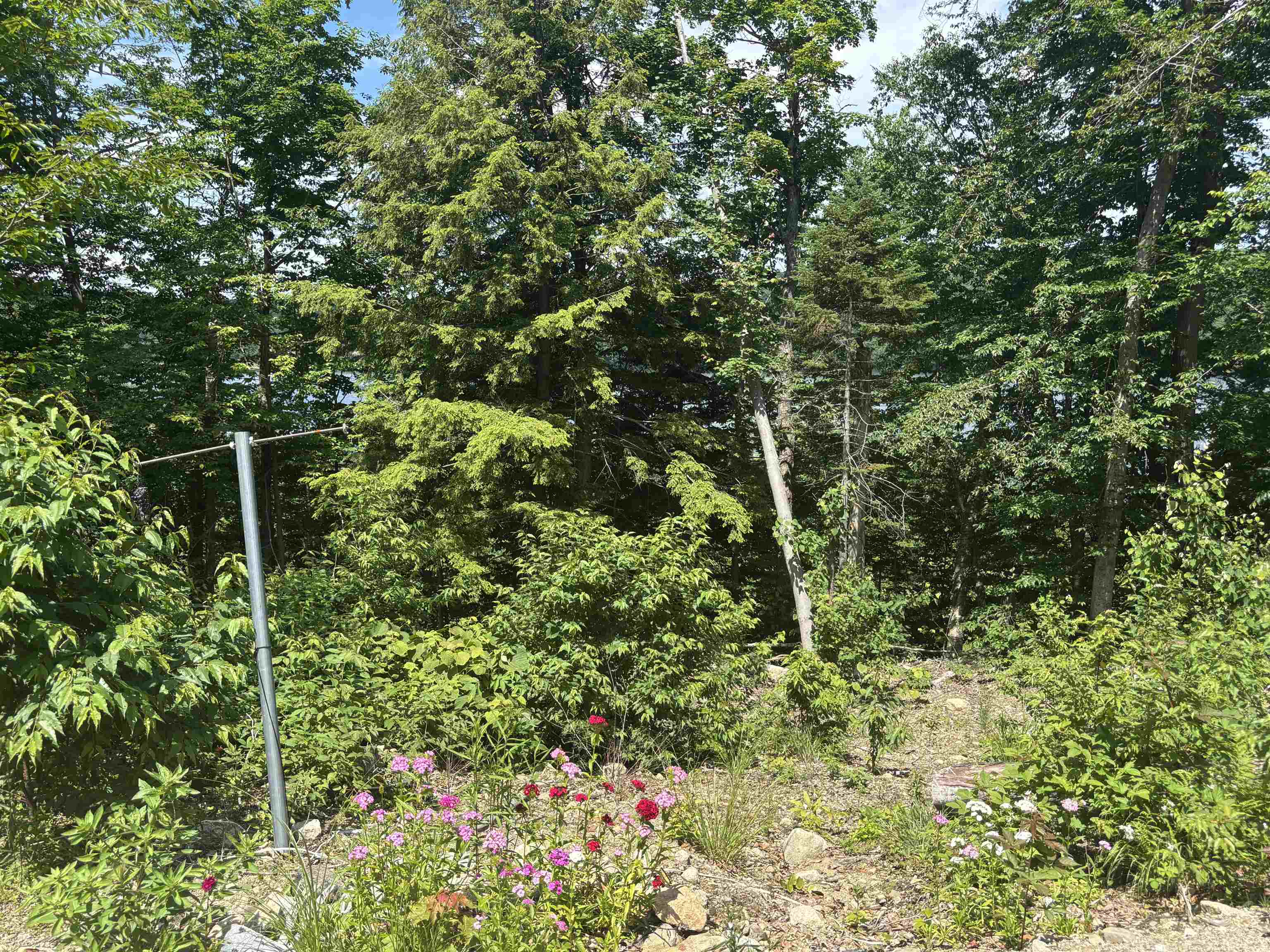 0 Vt Route 114 Norton, VT 05907 - Photo 11 of 45