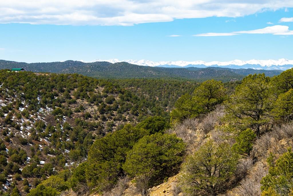 Tbd Turkey Run Trinidad, CO 81082 - Photo 50 of 60