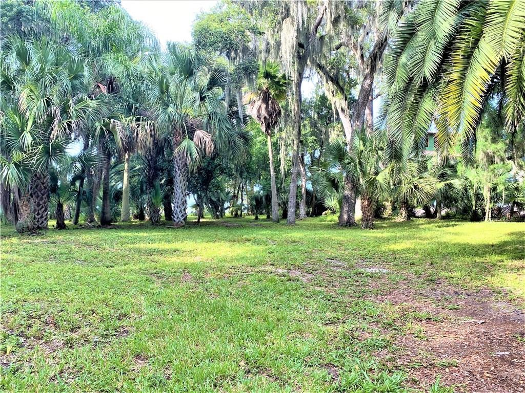 16395 Waterville Road Jacksonville, FL 32226 - Photo 2 of 6 a backyard of a house with lots of green space and fountain