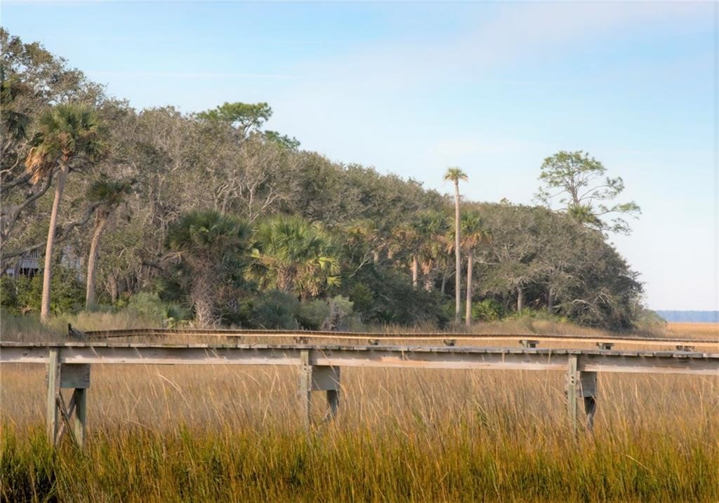 16395 Waterville Road Jacksonville, FL 32226 - Photo 4 of 6 a view of a water with a mountain in the background