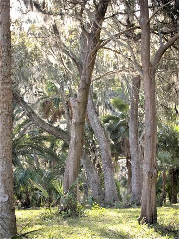 16395 Waterville Road Jacksonville, FL 32226 - Photo 5 of 6 a view of a yard with swimming pool