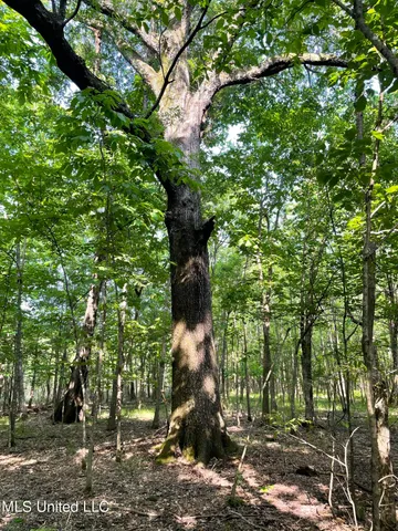 $389,999 | Jossell Road, Marks, MS 38646