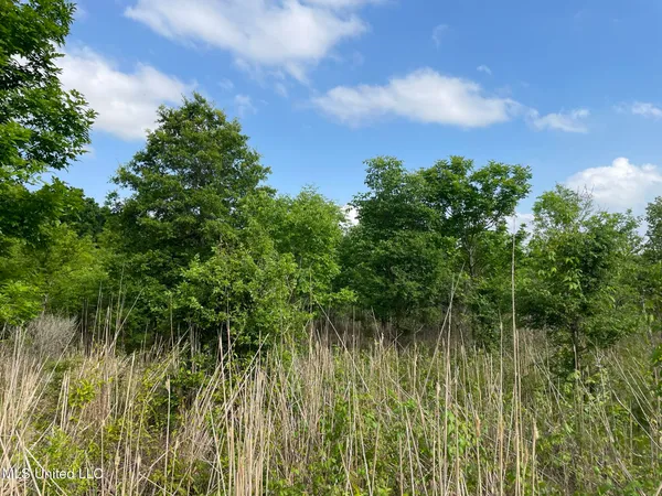 $389,999 | Jossell Road, Marks, MS 38646