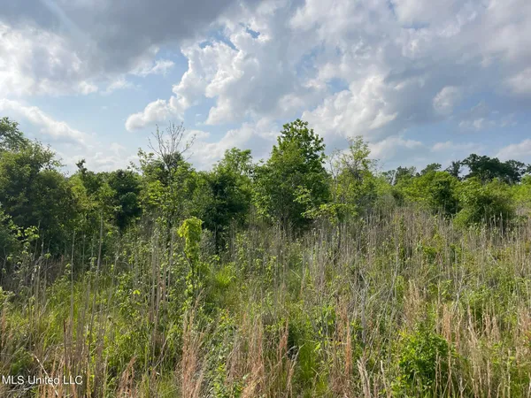 $389,999 | Jossell Road, Marks, MS 38646