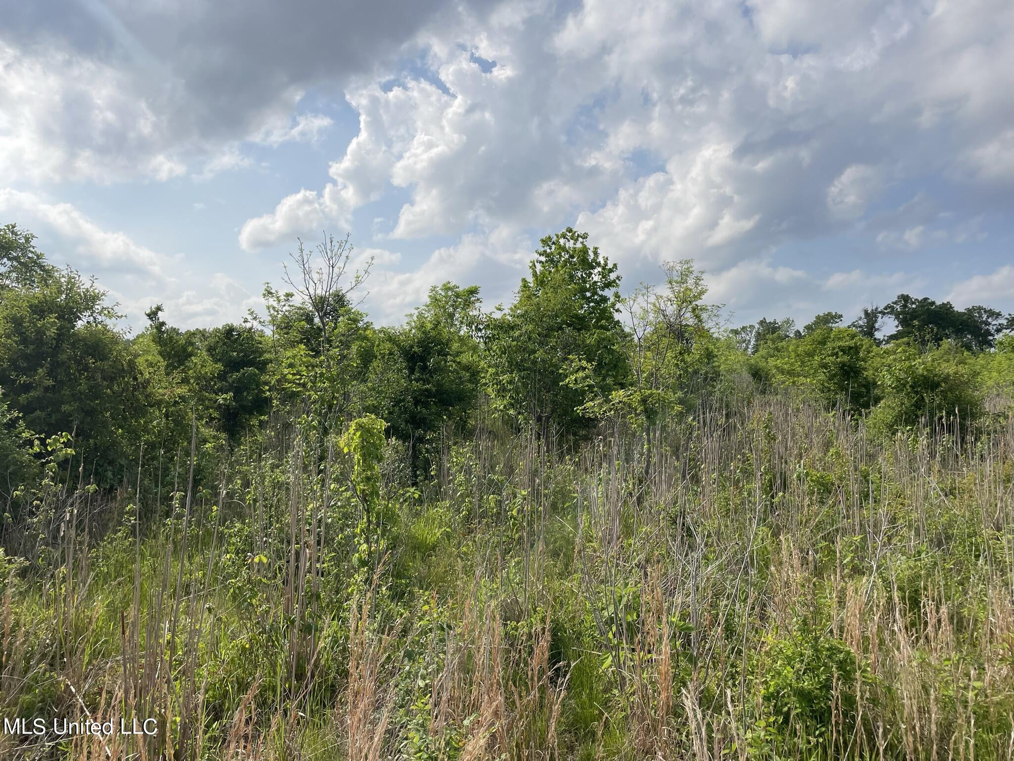 Jossell Road Marks, MS 38646 - Photo 12 of 26 IMG_6591