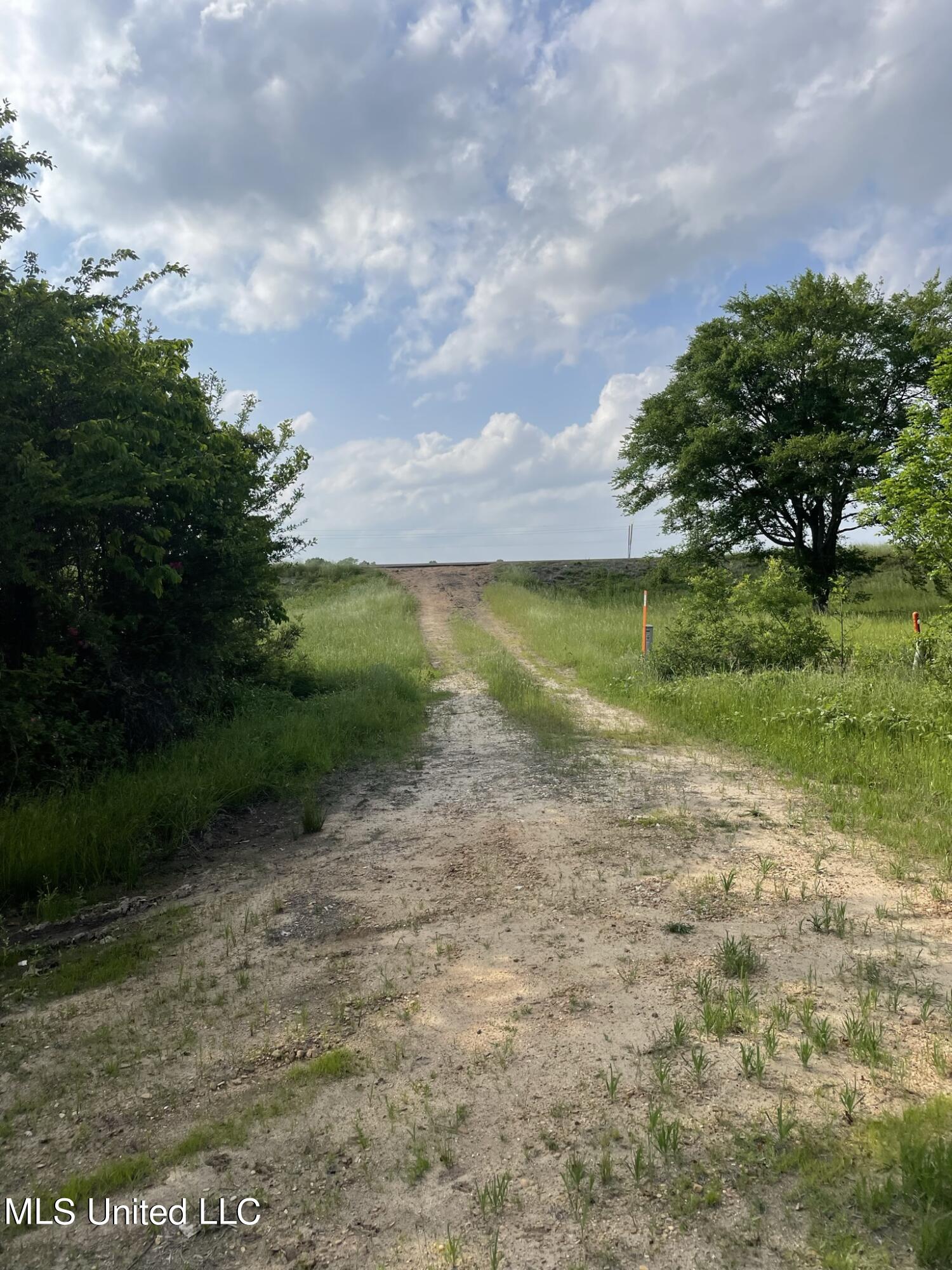 Jossell Road Marks, MS 38646 - Photo 13 of 26 IMG_6595