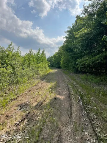 $389,999 | Jossell Road, Marks, MS 38646