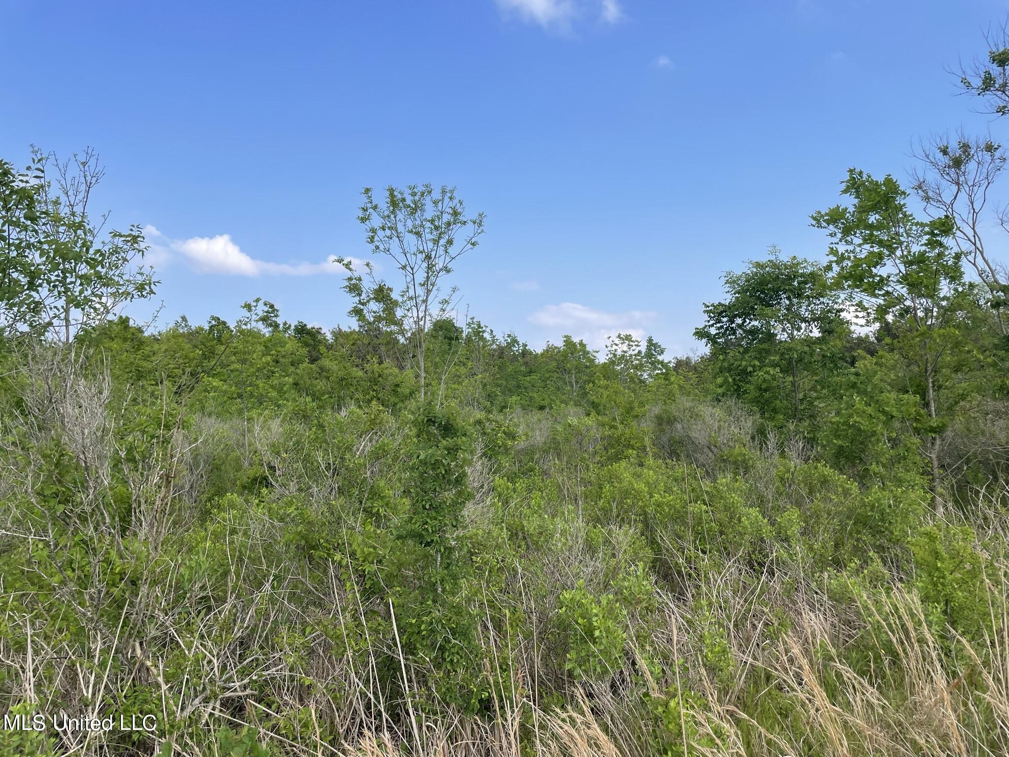 Jossell Road Marks, MS 38646 - Photo 16 of 26 IMG_6602