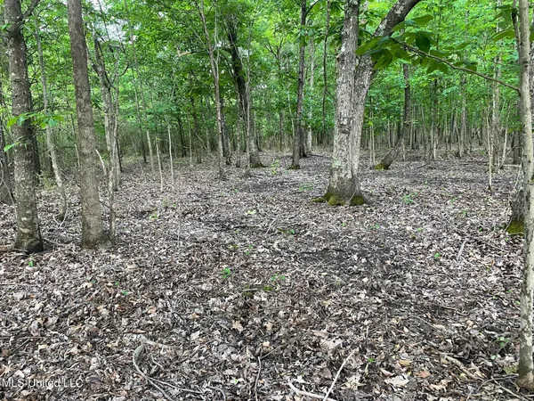 $389,999 | Jossell Road, Marks, MS 38646