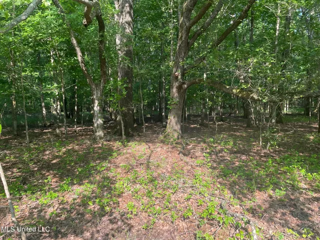 $389,999 | Jossell Road, Marks, MS 38646