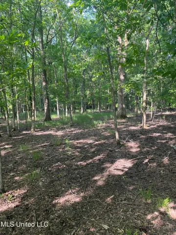 $389,999 | Jossell Road, Marks, MS 38646