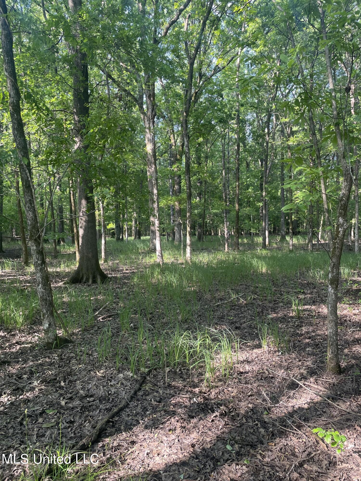 Jossell Road Marks, MS 38646 - Photo 20 of 26 IMG_6633