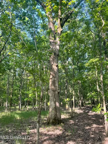 $389,999 | Jossell Road, Marks, MS 38646