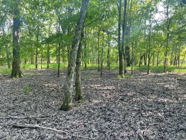 $389,999 | Jossell Road, Marks, MS 38646