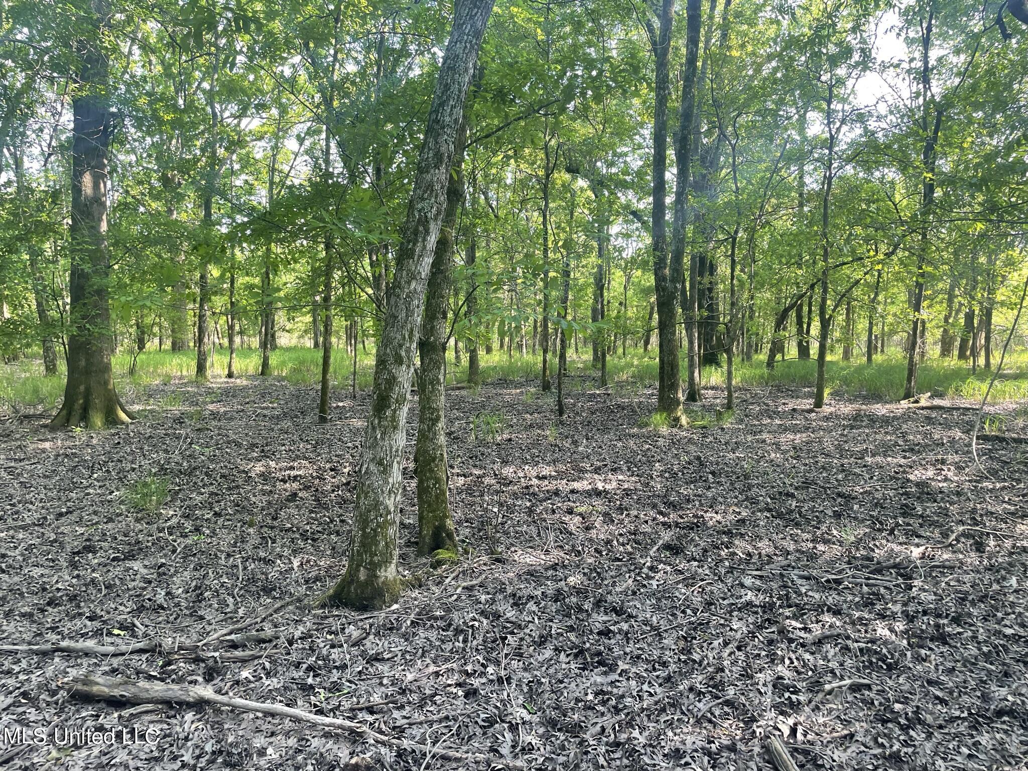 Jossell Road Marks, MS 38646 - Photo 23 of 26 IMG_6637
