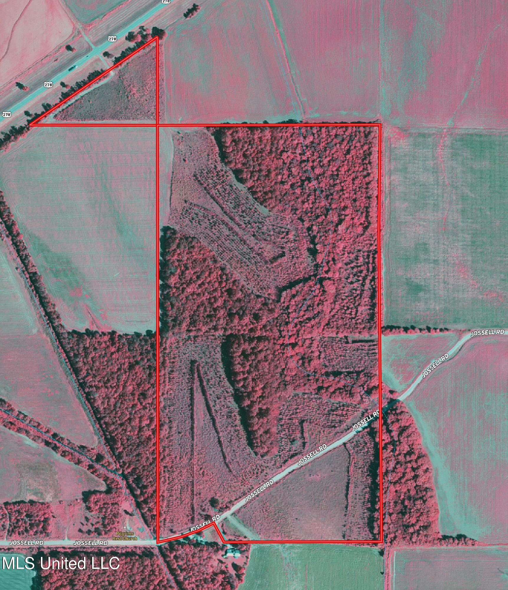 Jossell Road Marks, MS 38646 - Photo 24 of 26 infrared