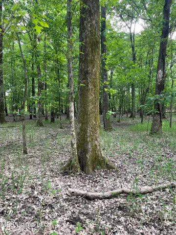 $389,999 | Jossell Road, Marks, MS 38646