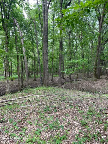 $389,999 | Jossell Road, Marks, MS 38646