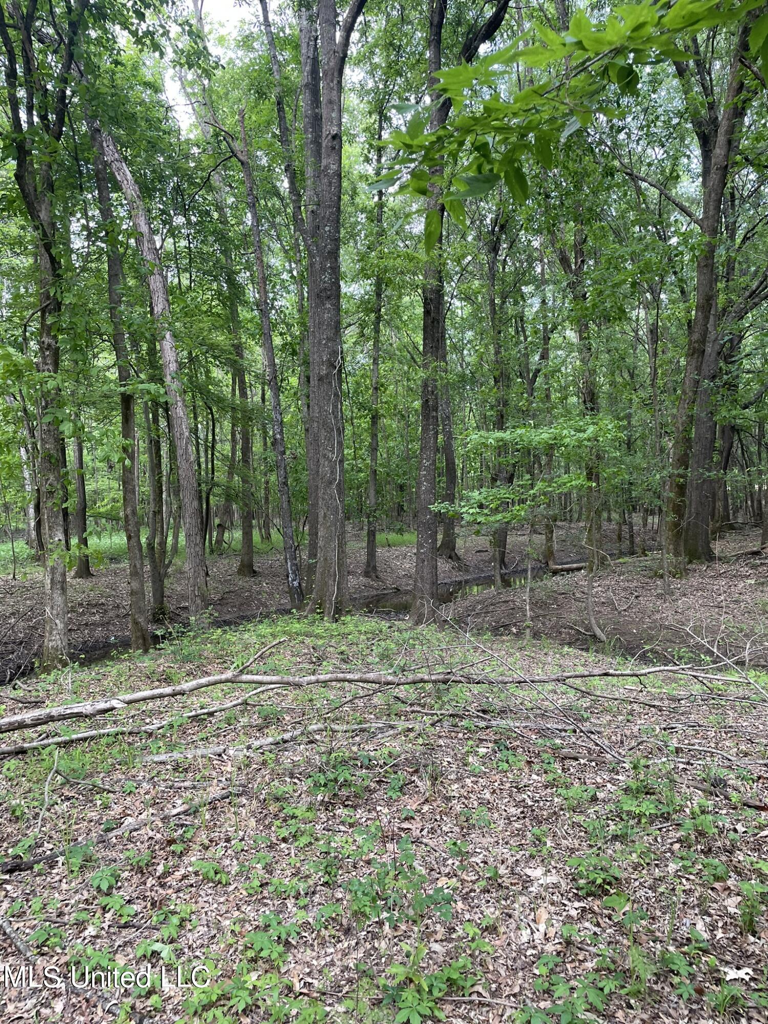 Jossell Road Marks, MS 38646 - Photo 6 of 26 IMG_6543