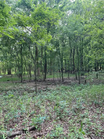 $389,999 | Jossell Road, Marks, MS 38646