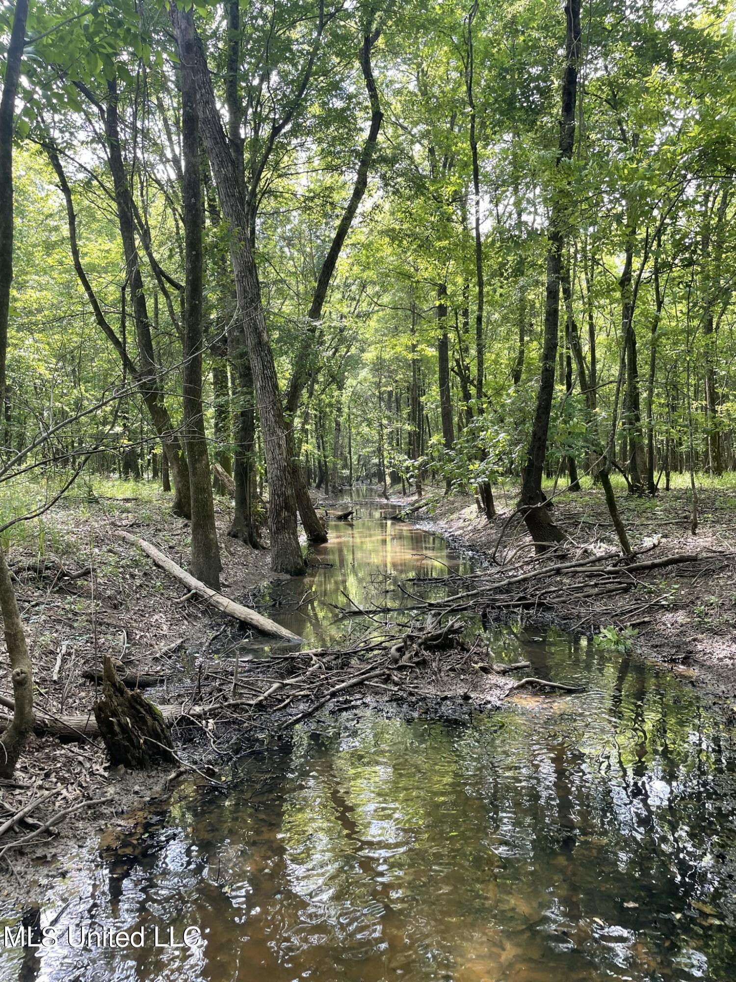 Jossell Road Marks, MS 38646 - Photo 8 of 26 IMG_6546