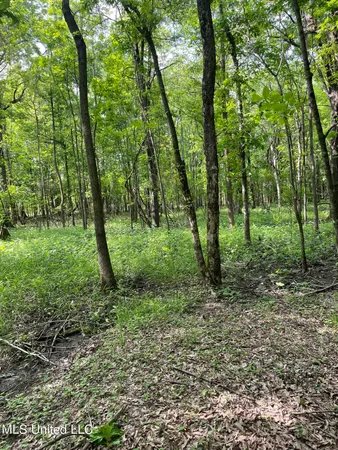 $389,999 | Jossell Road, Marks, MS 38646
