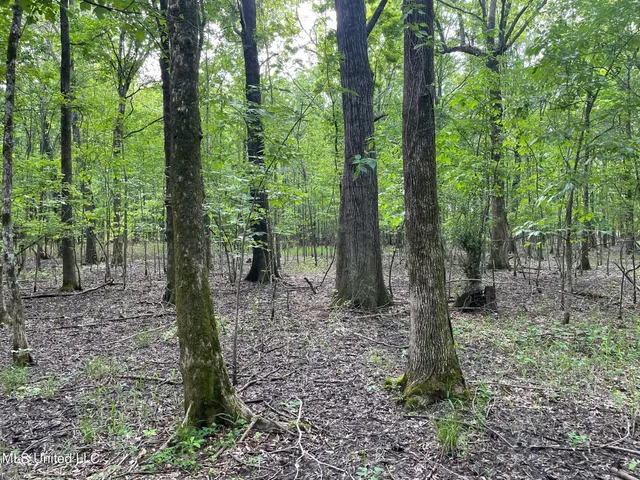 $389,999 | Jossell Road, Marks, MS 38646