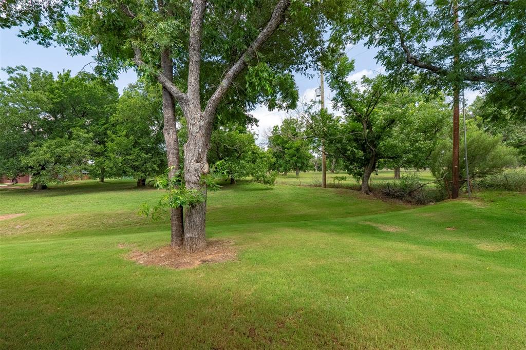 10301 Ravenswood Road Granbury, TX 76049 - Photo 7 of 38 Orchard views