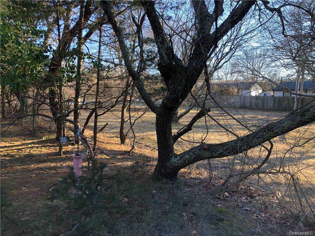 49 Shrubland Road Southampton, NY 11968 - Photo 8 of 9