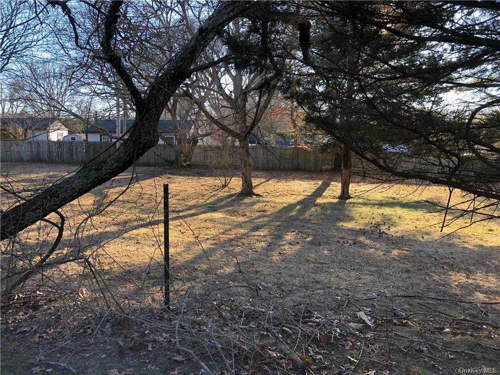 49 Shrubland Road Southampton, NY 11968 - Photo 9 of 9 a view of yard with trees