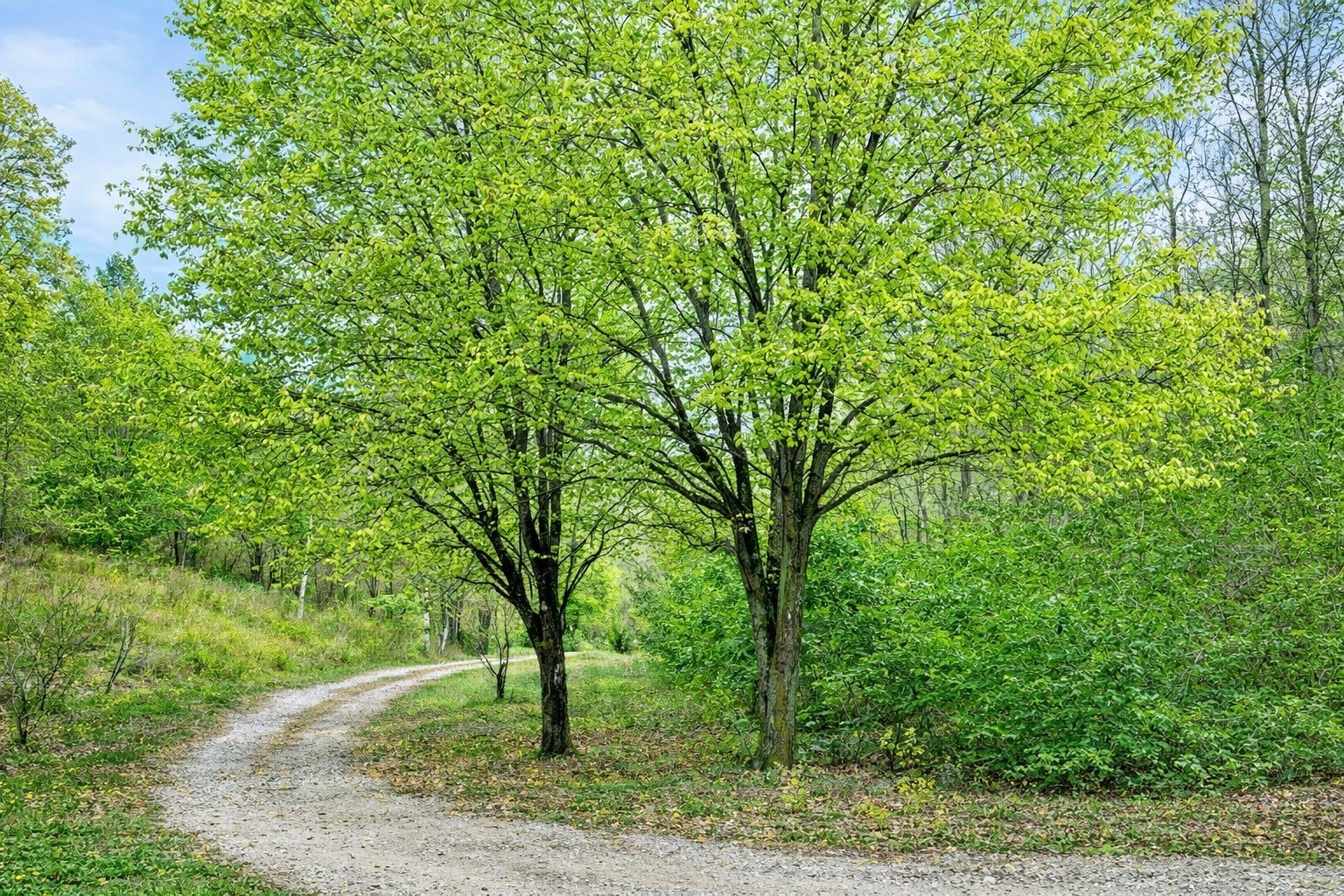 1135 West Mink Branch Road Waynesboro, TN 38485 - Photo 78 of 83