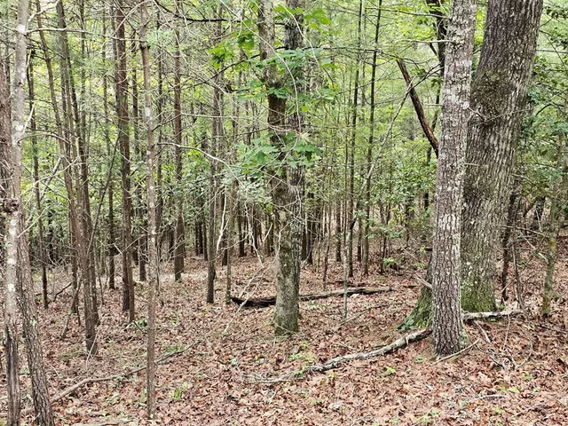 $45,000 | 2.71-ac Ridgeline Road, Murphy, NC 28906