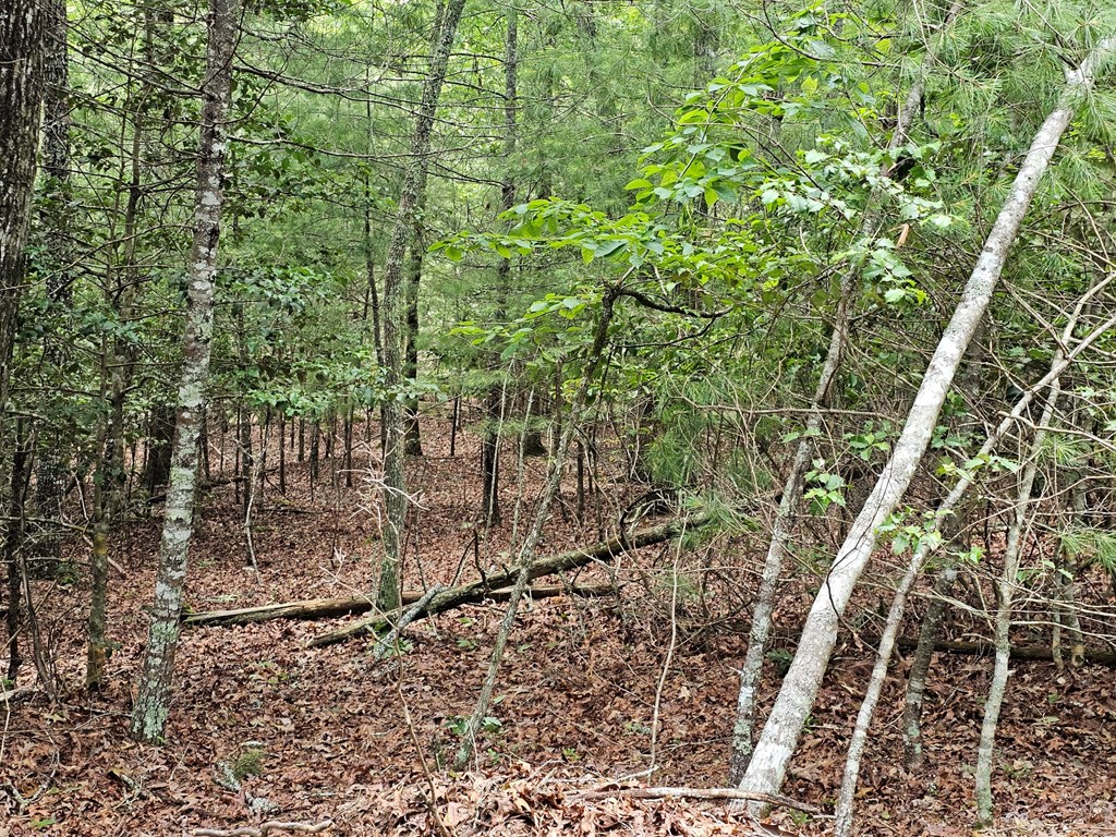 2.71-ac Ridgeline Road Murphy, NC 28906 - Photo 8 of 9