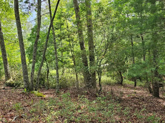$45,000 | 2.71-ac Ridgeline Road, Murphy, NC 28906