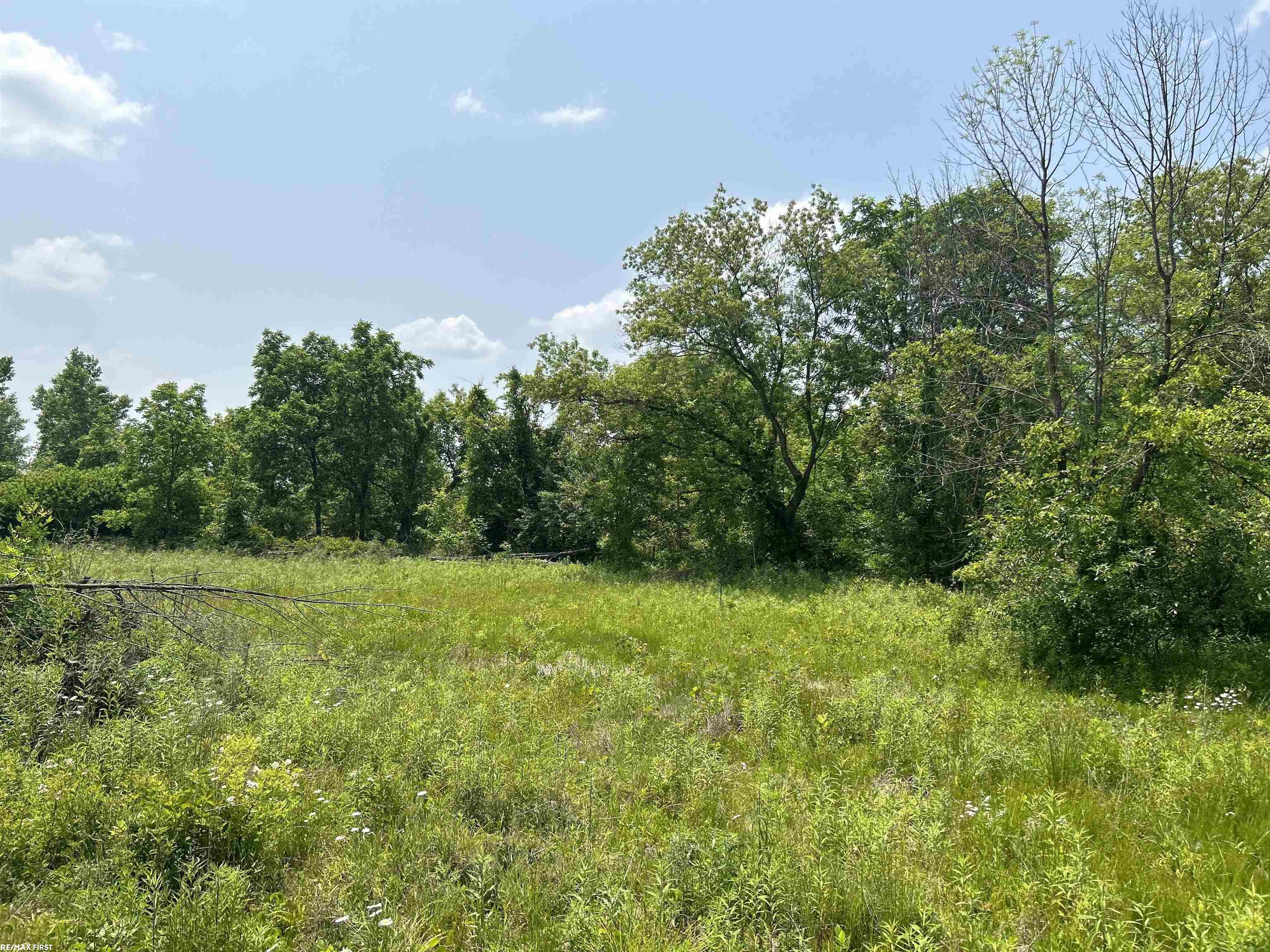 4919 Piersonville Road Columbiaville, MI 48421 - Photo 1 of 16 Gallery Image 1