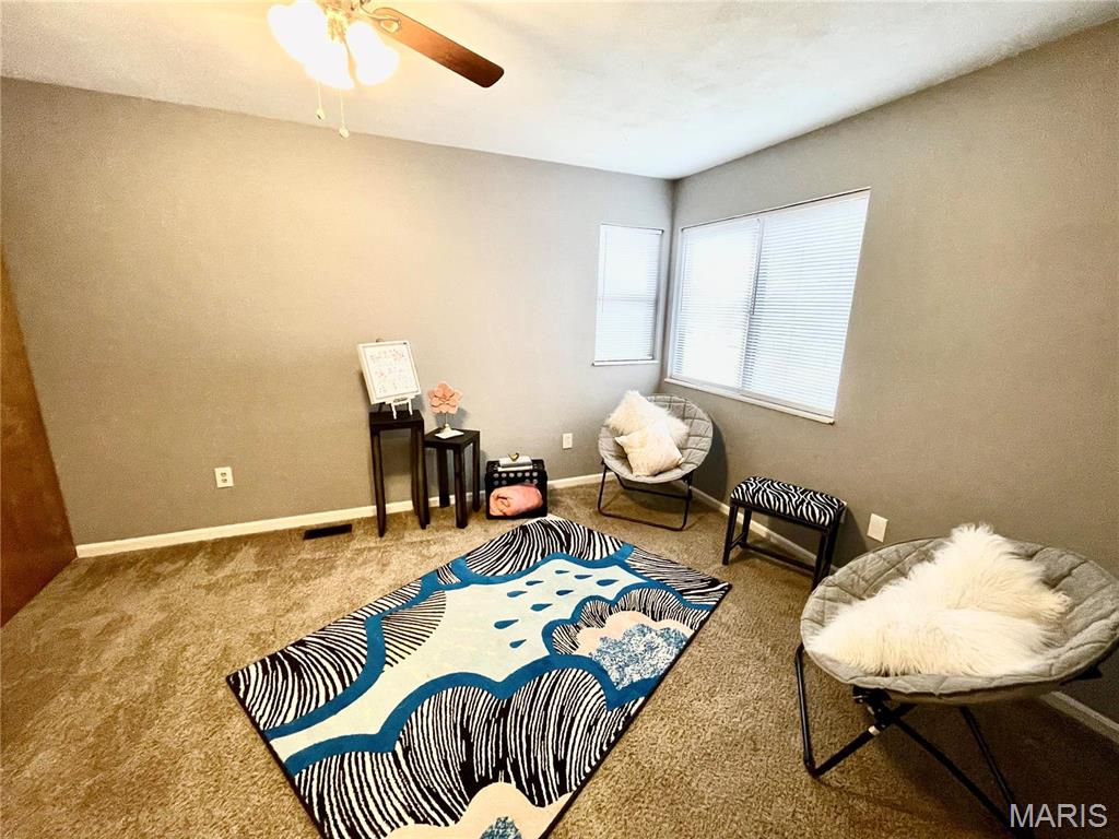 890 Lester Avenue Collinsville, IL 62234 - Photo 27 of 44