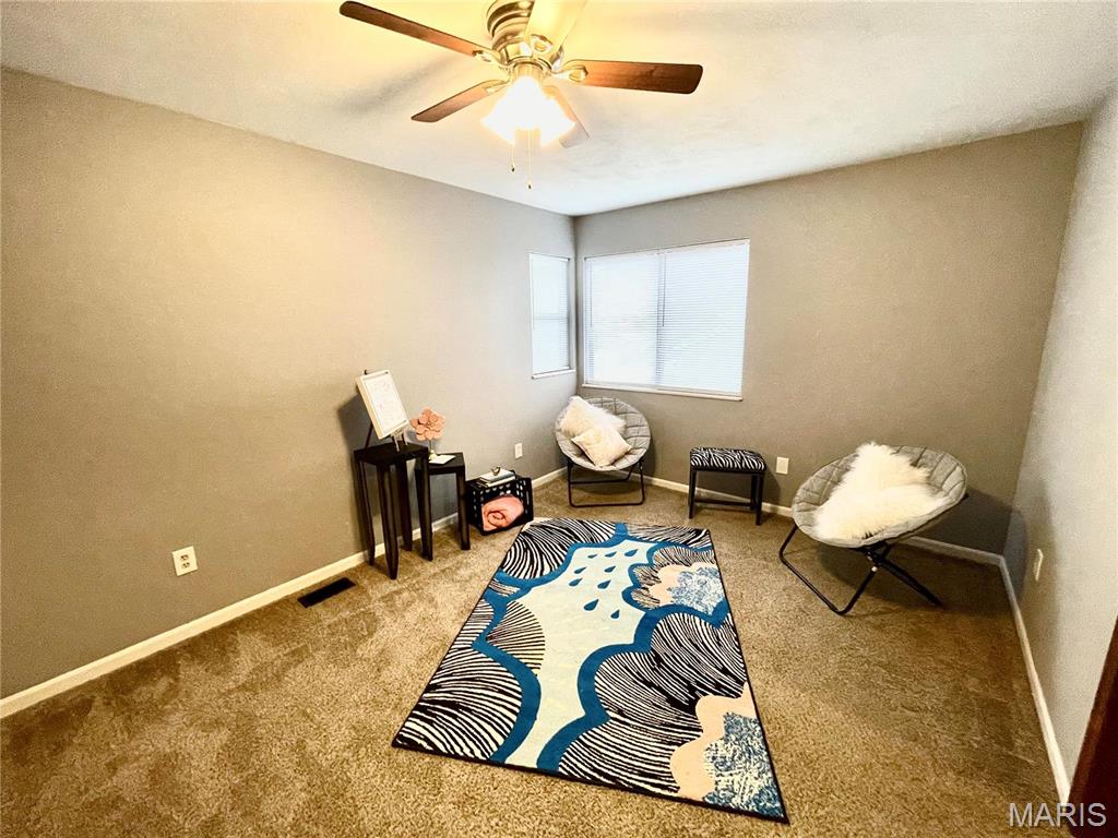 890 Lester Avenue Collinsville, IL 62234 - Photo 28 of 44